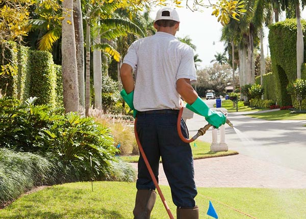 About Dothan WV Pest Control